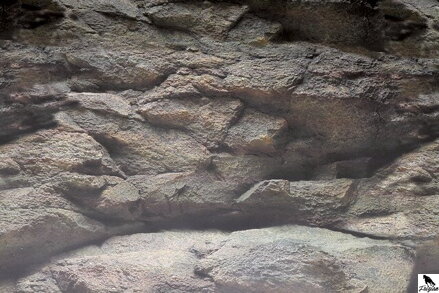 SF DECO POSTER B 60 X 30 CM