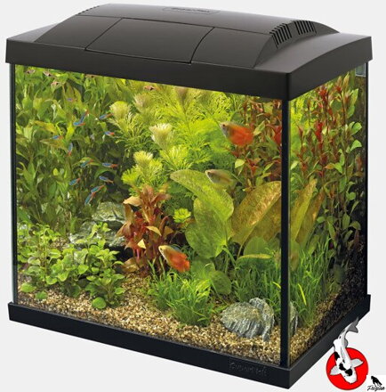 SUPERFISH START 30 TROPICAL SÚPRAVA ČIERNA