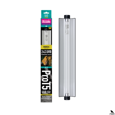 ARCADIA PRO T5 UVB SET SHADEDWELLER ARBOREAL 2,4% UVB 8 WATT