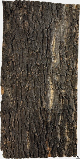 REPTO CORK PLATE 60 X 30 CM