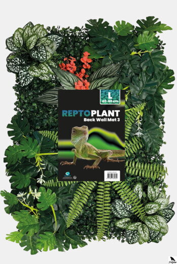 ZADNÁ STENA REPTO MAT 40X60CM 3.
