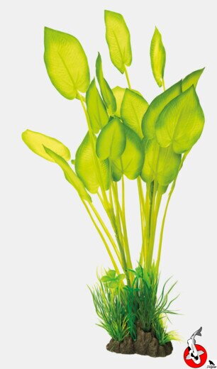 ART RASTLINA 40CM ECHINODORUS