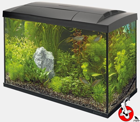 SUPERFISH START 70 TROPICKÁ SÚPRAVA čierna