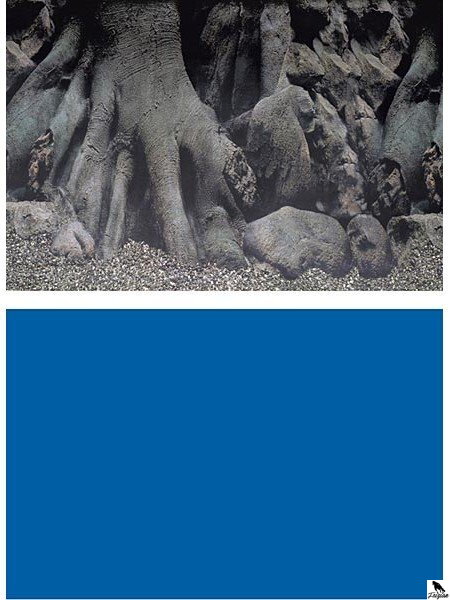 SF DECO POSTER D 120 X 61 CM