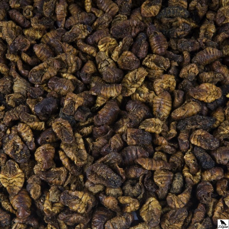 Ларви на копринената буба 1 л