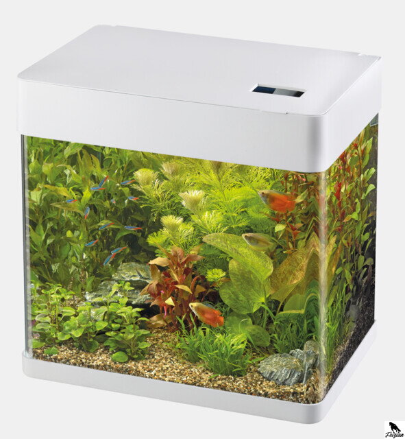 SF PANORAMA 20 biela