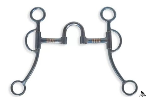 Westernové zubadlá